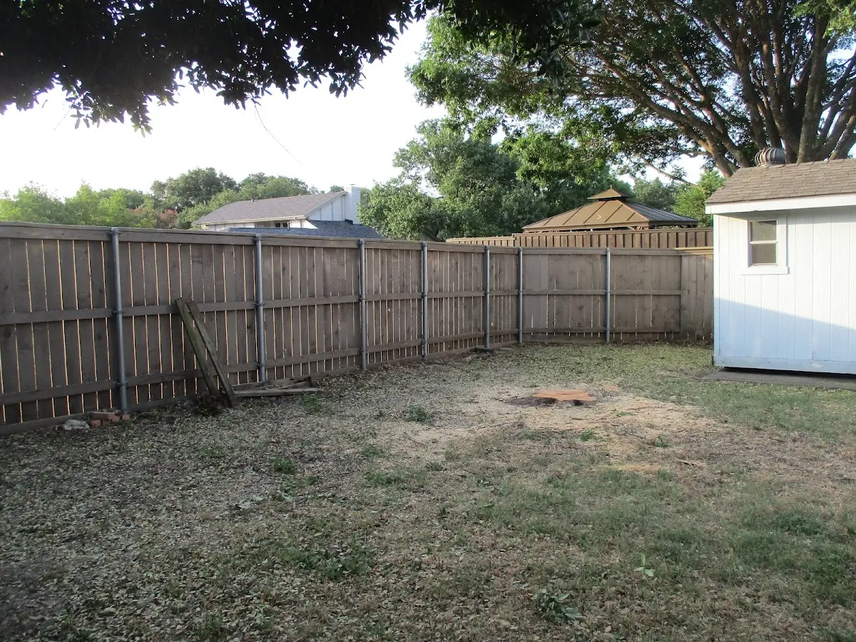 Cleared yard after professional tree removal in Winnett